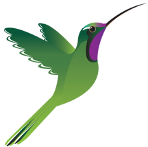 HUMMINGBIRD